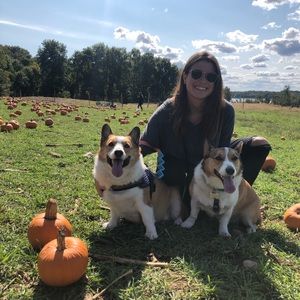 Meet your Posher, Carolyn